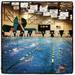 Club Wolverine swimming hosts their Summerfest meet at EMU. (derekmehraban)